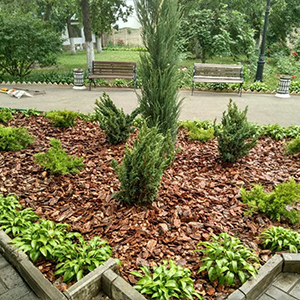 Хвойная мульча в Королёве купить - оперативная доставка по всей России
