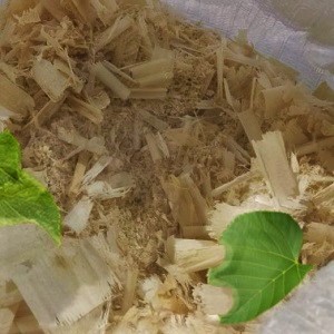 Лиственные опилки оптом в Королёве от завода-производителя Лигнум Ресурс