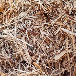 Щепа для арболита оптом в Королёве и других различных марок заказать от 16 тонн