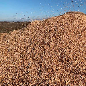 Щепа топливная оптом в Королёве от завода-производителя Лигнум Ресурс